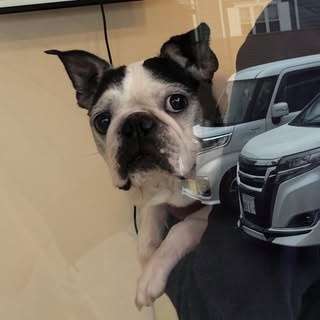 @nu.no647のプロフィール画像