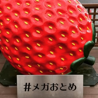 @o_dekochanのプロフィール画像