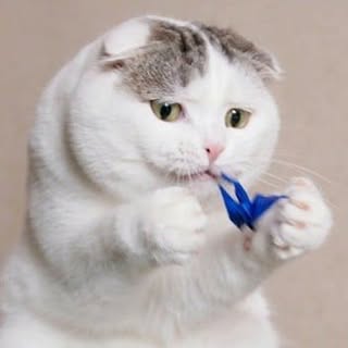 @ojarinnのプロフィール画像
