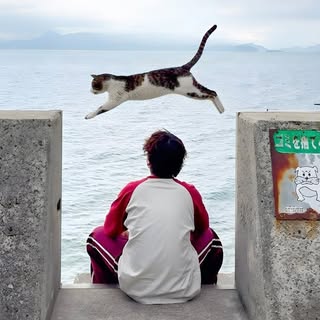 @orewa.futaのプロフィール画像