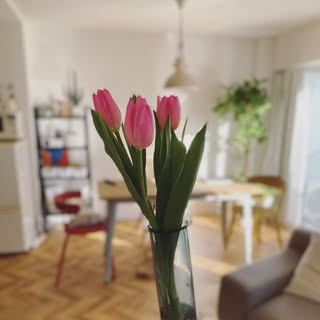 @ouccctt_roomのプロフィール画像