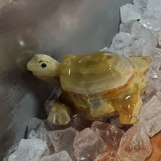 @papupo2022のプロフィール画像