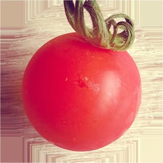 @pomodorosaのプロフィール画像