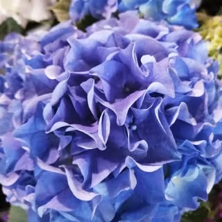 @psamu2018のプロフィール画像