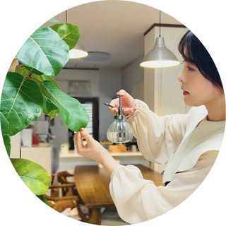 @relife_chicoのプロフィール画像