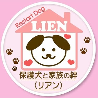 @restartdoglienのプロフィール画像