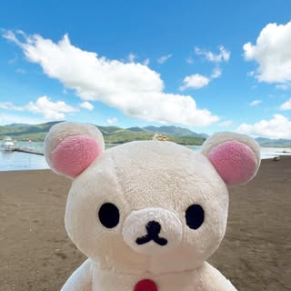 @rilarila_korilaのプロフィール画像
