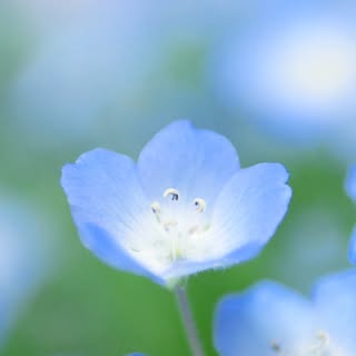 @rumi1043のプロフィール画像
