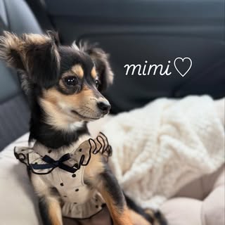 @s.h.0312のプロフィール画像