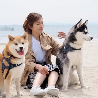 @seip.omochiのプロフィール画像