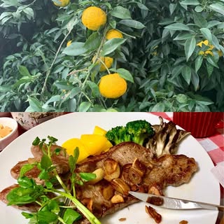 @sh.poncoのプロフィール画像