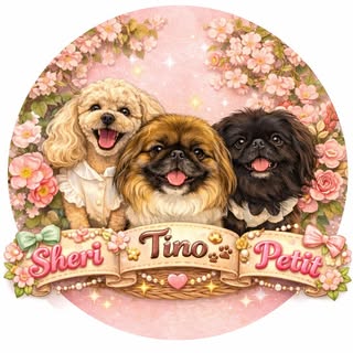 @sheri_tino_petitgramのプロフィール画像