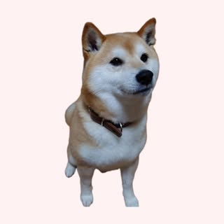 @shiilove3478のプロフィール画像