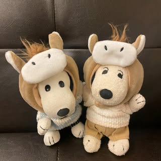 @snonnonpyのプロフィール画像