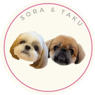 @sor_a1124のプロフィール画像