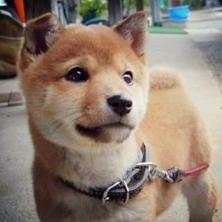 @sweet_strawberryのプロフィール画像