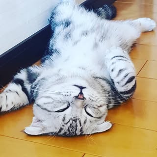 @takajapon0717のプロフィール画像