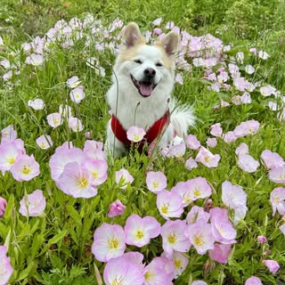 @takehiko.eのプロフィール画像