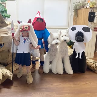 @tamanegi.qoo.rikuのプロフィール画像