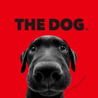 @thedogandfriendsのプロフィール画像