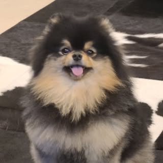 @thvのプロフィール画像