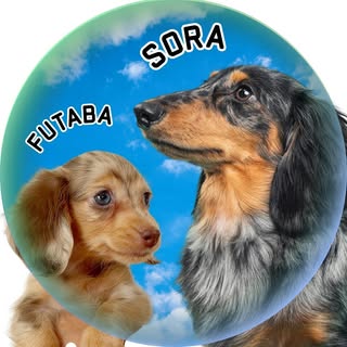 @tochigi_soraのプロフィール画像