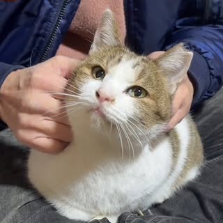 @toshi95814のプロフィール画像