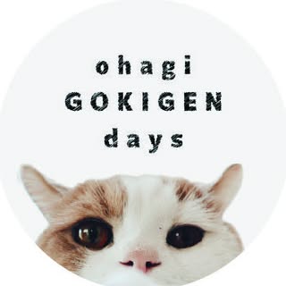 @toupie_のプロフィール画像