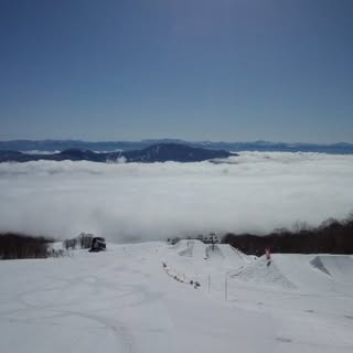 @treerun66のプロフィール画像