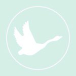 @tsurubymarikooikawaのプロフィール画像
