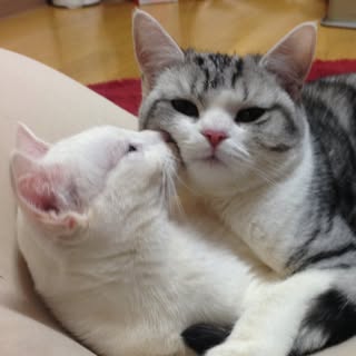 @uni.unagiのプロフィール画像