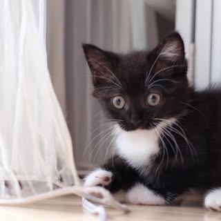 @unico_uniuniのプロフィール画像