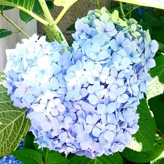 @uuuuurichanのプロフィール画像