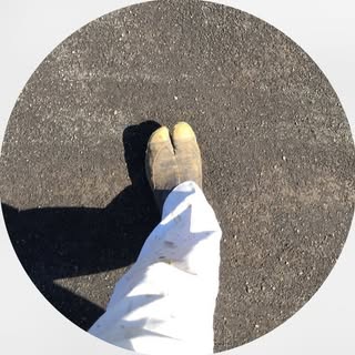 @washiharatabitoのプロフィール画像