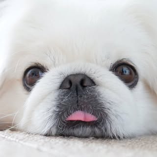 @wata201312のプロフィール画像