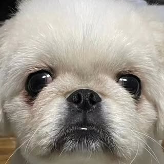 @watako0206のプロフィール画像