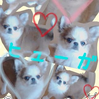 @whity__angel__のプロフィール画像