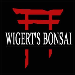 @wigertsbonsaiのプロフィール画像