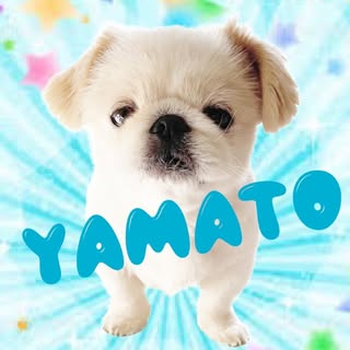 @yamato225312のプロフィール画像