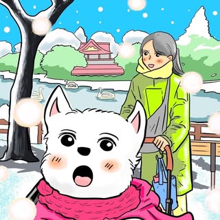 @ymc_cheezuのプロフィール画像