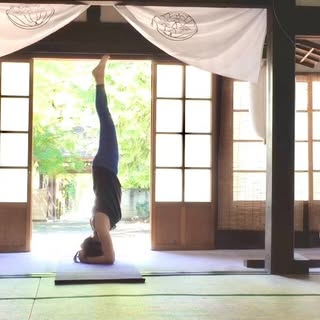 @yogamindfulness.jpのプロフィール画像