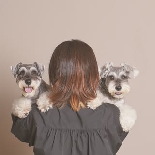 @yukaiserのプロフィール画像